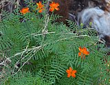 Natur01