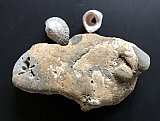 Natur01