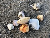 Natur01