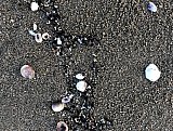Natur01