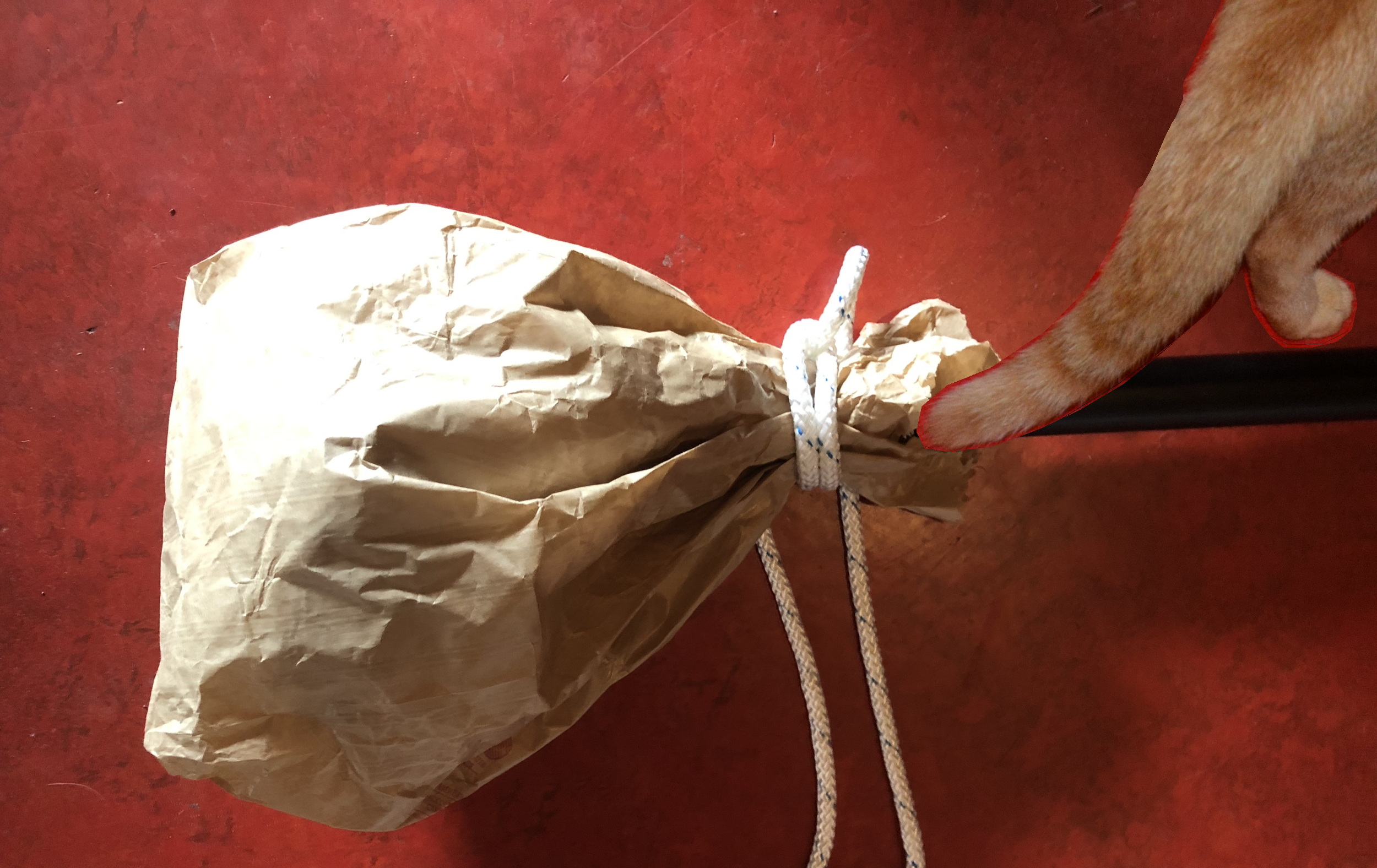 WHO Katze aus dem Sack