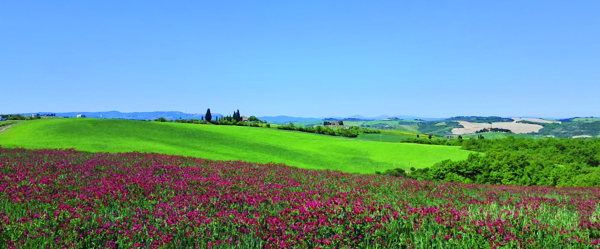 Fostini Toscana 2