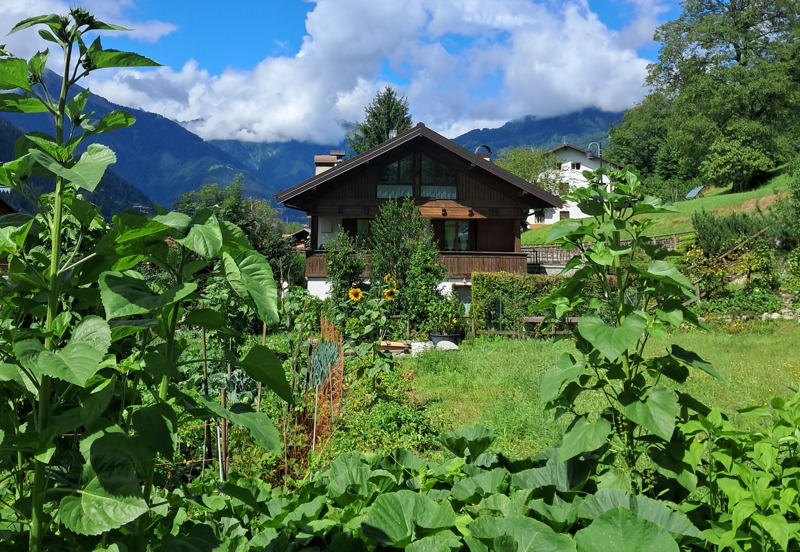 Fostini Paradies 20250802 151400 k1